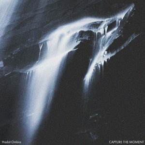 麻豆免费网站在线观看。
